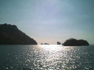 Phi Phi Island