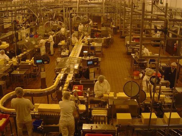Tillamook cheese factory