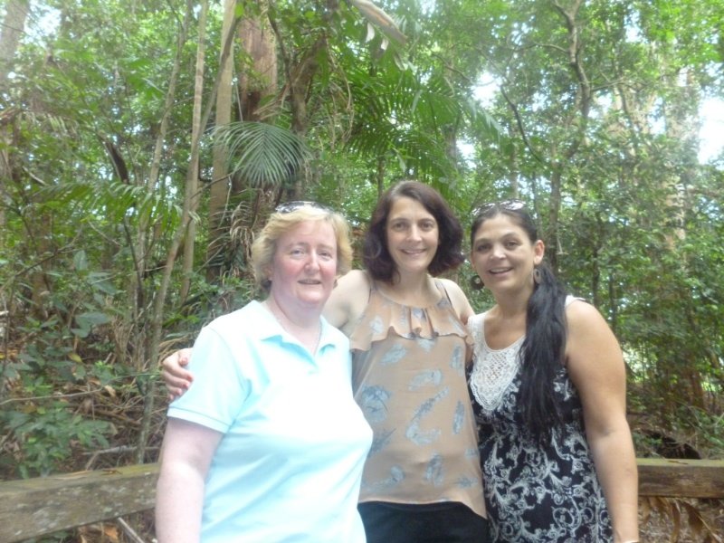 In the rainforest 1