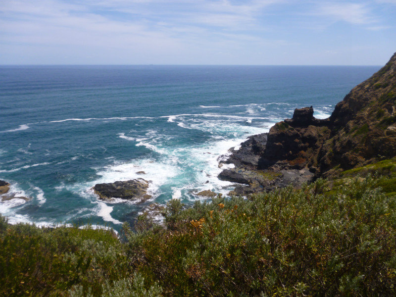 Cape Schanck Views