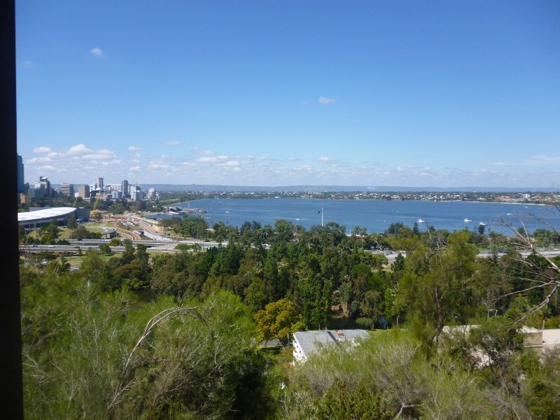 View from King's Park