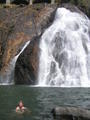 Dudsagar waterfall swim