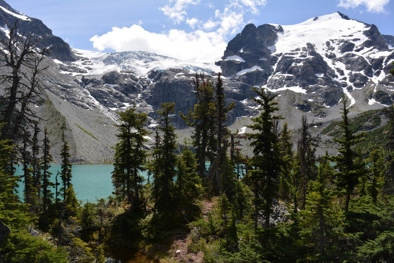 Trees, Lake and Glacier