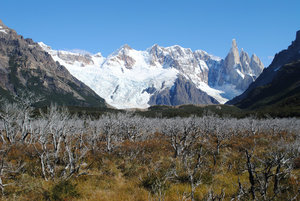 Cerro Torre from the valley