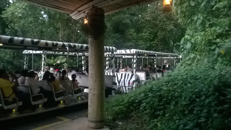 Jungle Tram