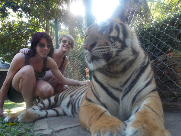 Tiger sanctuary