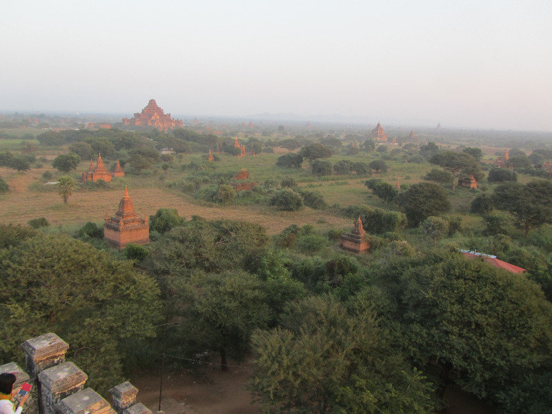 Pagodenfeld von Bagan