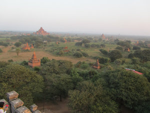 Pagodenfeld von Bagan