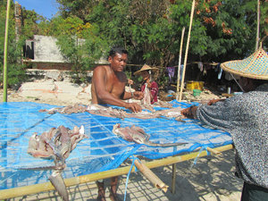 Trockenfischherstellung am Strand