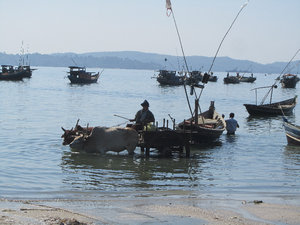 Fischerboote mit Ochsenkarren