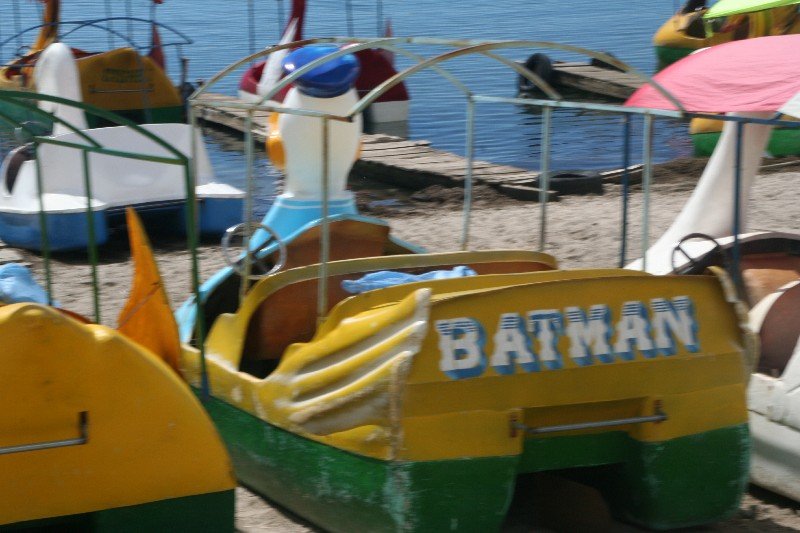 Batman-Donald Duck Swan Boat