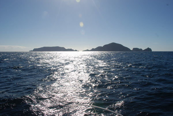 The Poor Knights Islands