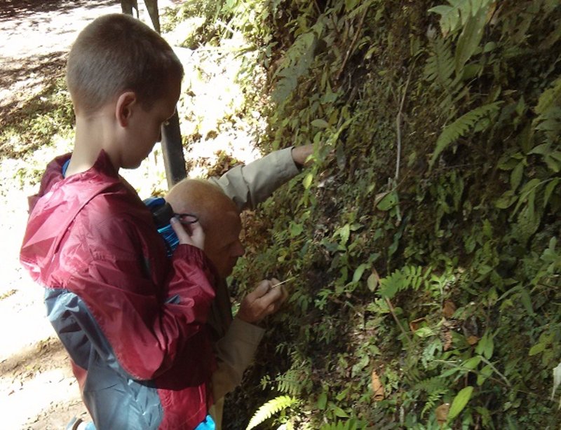 ian and grandpa examining plants at Monteverde