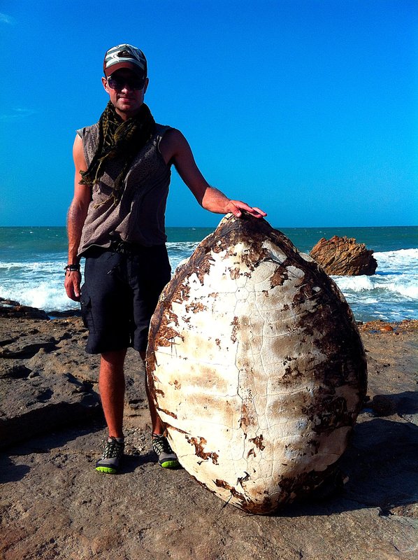 Giant sea turtle shell we found