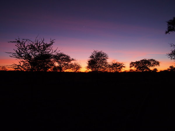 Sunrise in the Serengeti