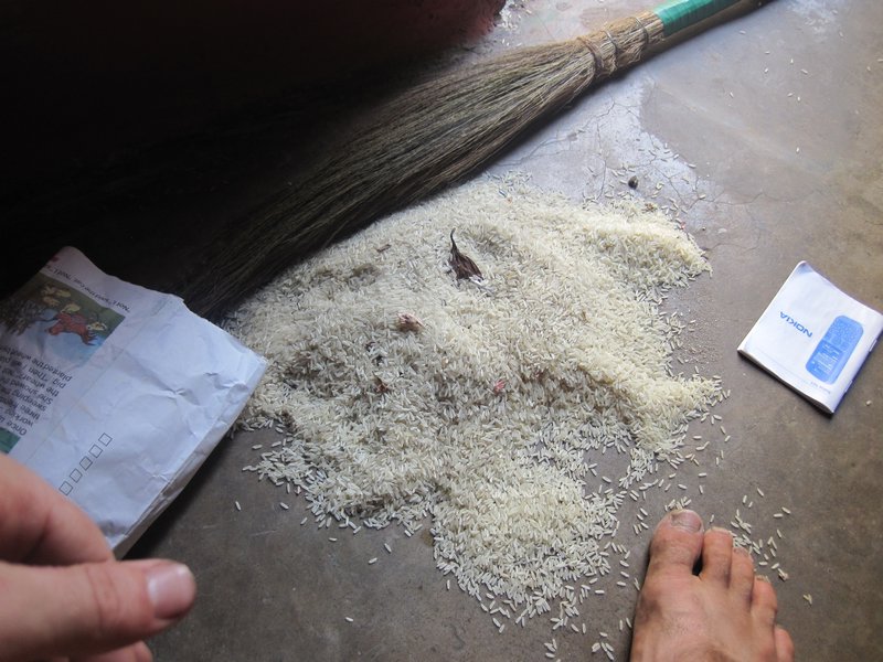 Rice for Hotejan from my floor