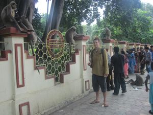 Kali Temple monkey park