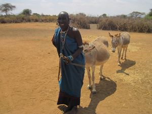 Somebeti takes donkeys for water