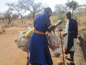 Somebeti ties water to donkey with Isaya