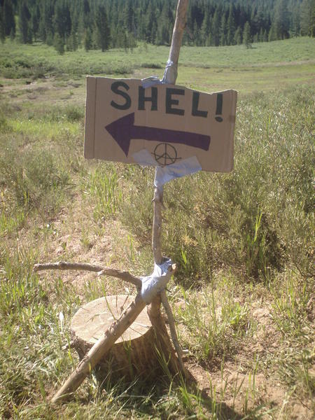 Shel's signs