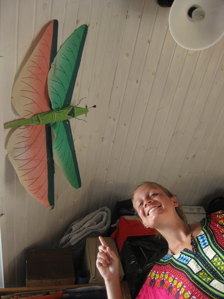 The magic Dragonfly above our bed!!