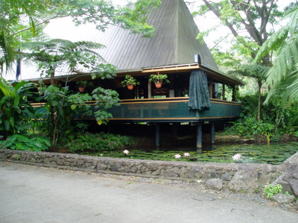 Raintree Lodge