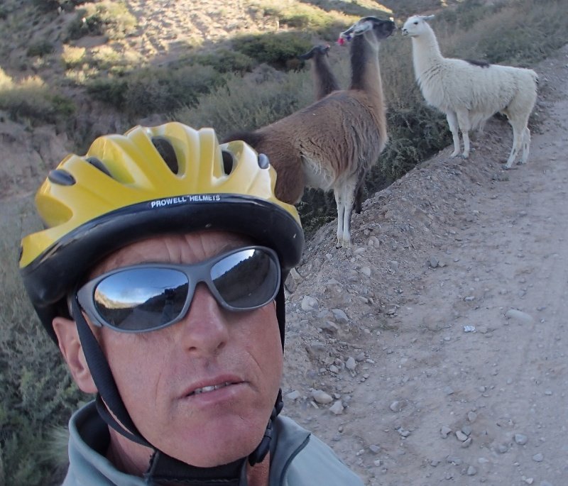 We fietsen verder, nagekeken door lama's 