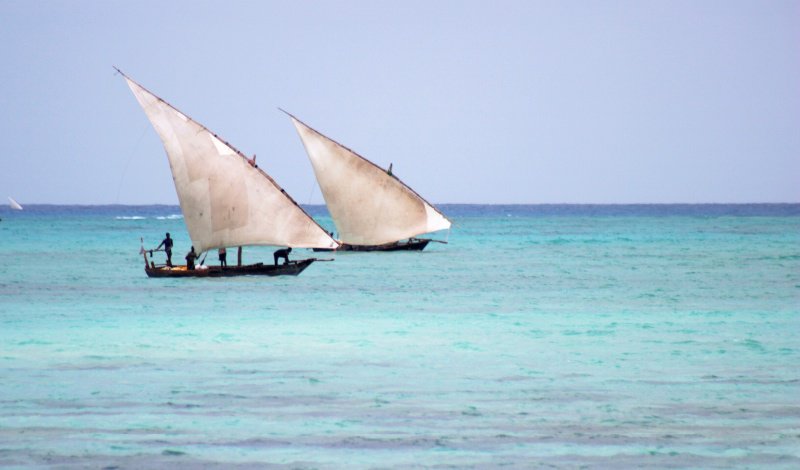 Zanzibar dhows 