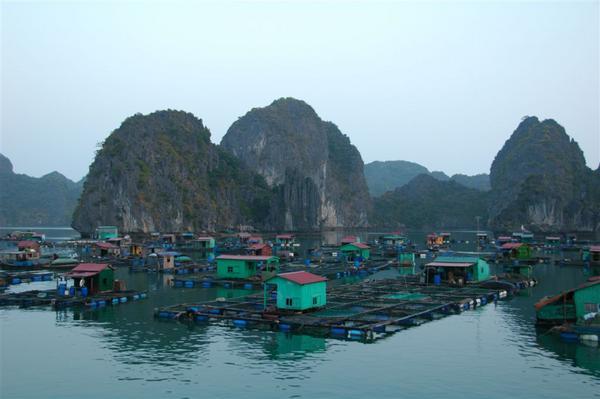 One of the fishing villages in Ha Long Bay