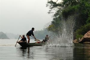 Herding fish onto nets downstream