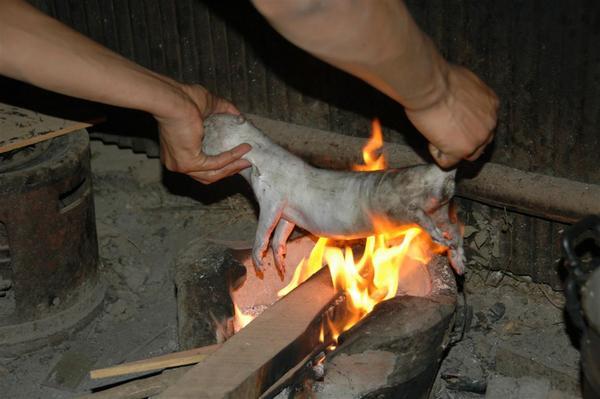 Roast Bamboo rat - not for us