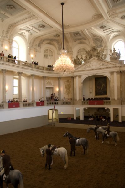 Inside the Spanish Riding School arena | Photo