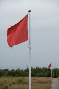 Culloden Battlefield - Red flags mark where the British line stood.