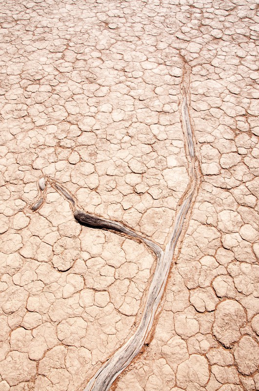 Deadvlei