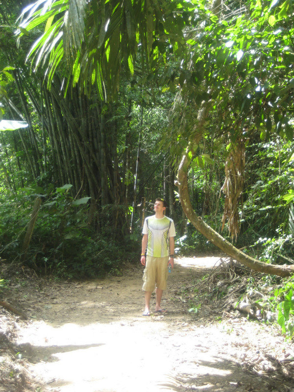 Into the jungle without a tour guide!