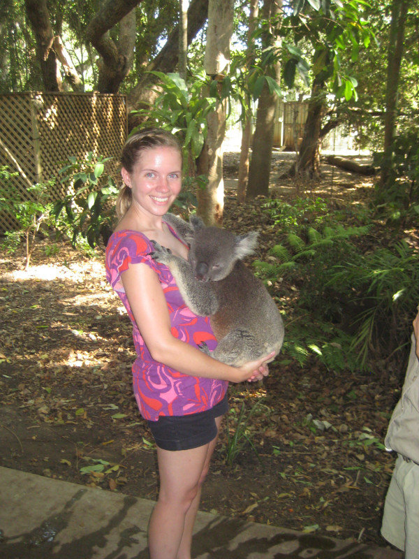 Koala cuddle with Orinocco