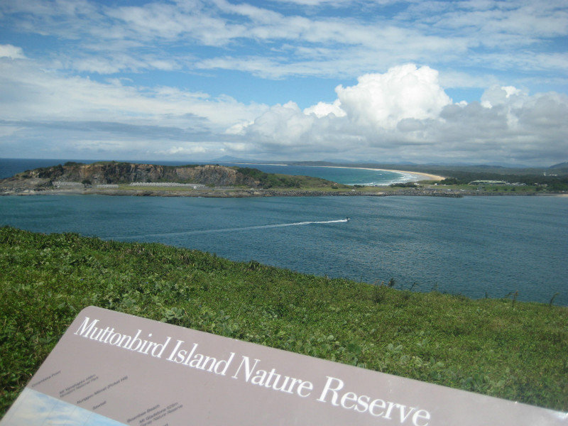 Muttonbird Island