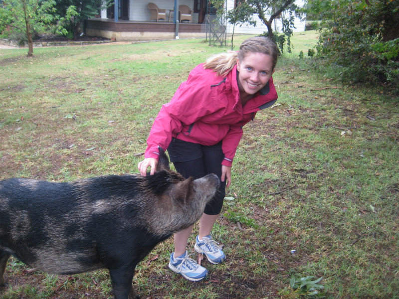 Lola the pet pig!
