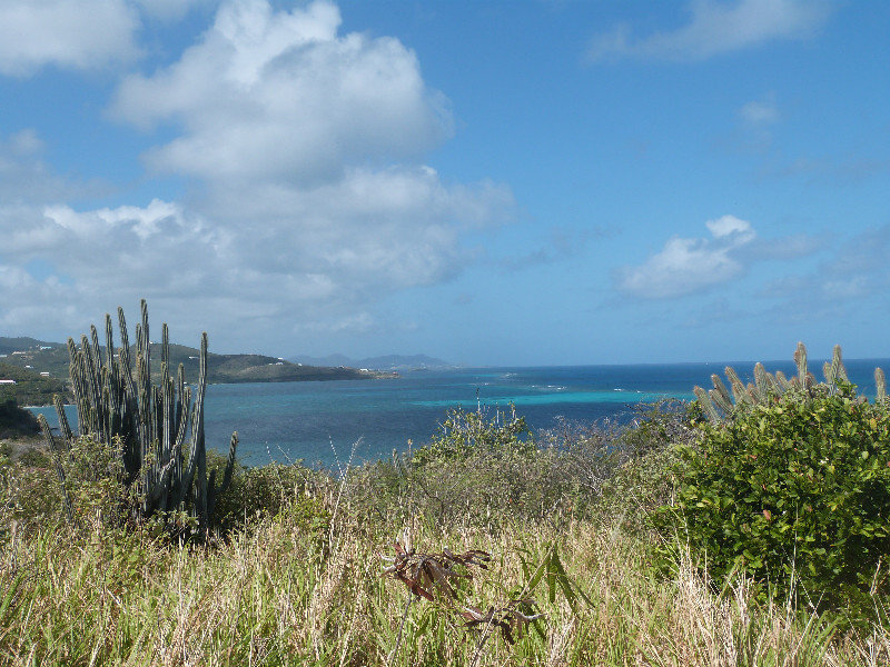 Looking west toward Christiansted