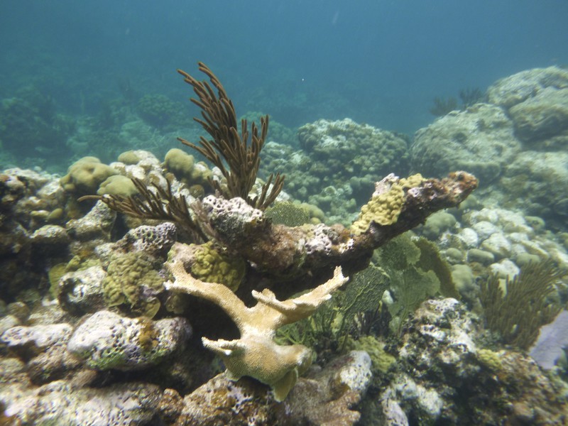 Underwater somewhere on Culebra