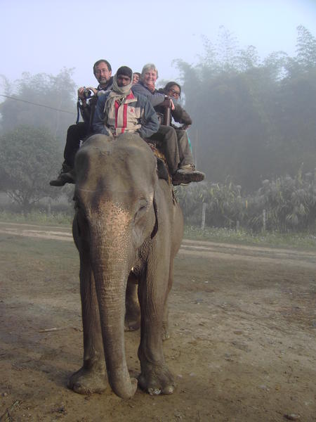 Elephant ride in Chitwan
