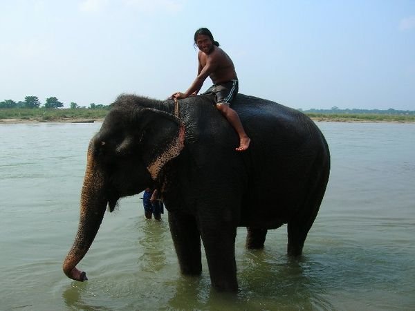 Kalu and Mr. Elephant