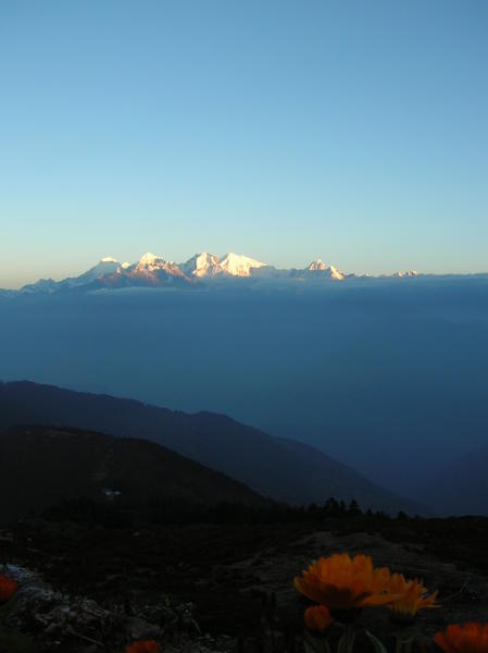 Amazing Himalaya's