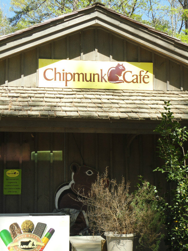 Chipmunk Cafe