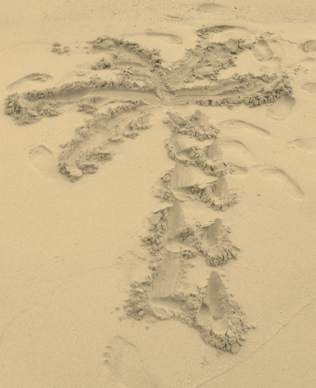 My work of art - Palm Tree in the sand...