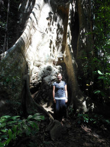 I found a giant tree, too!