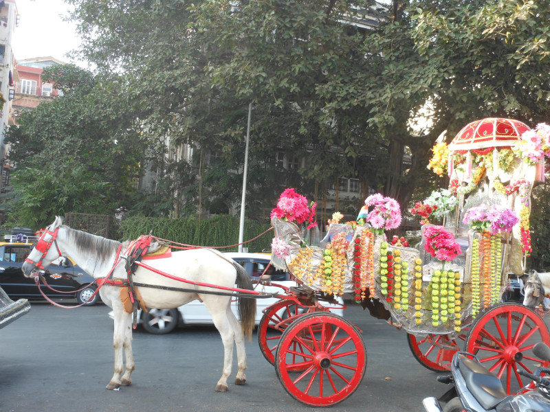 The equivalent of a carriage ride in Charleston :)