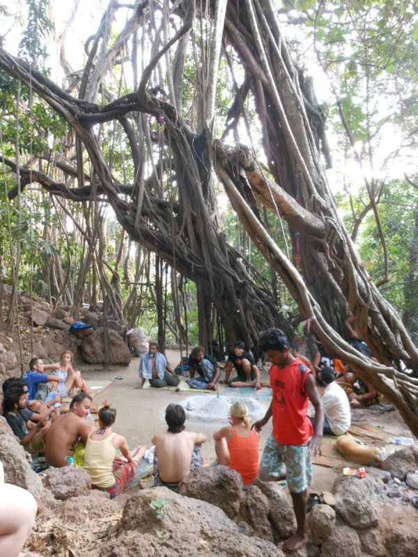 Hippies around the banyan tree