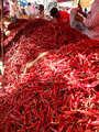 Mountains of chilies 