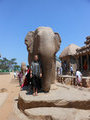 Giant stone carved elephant